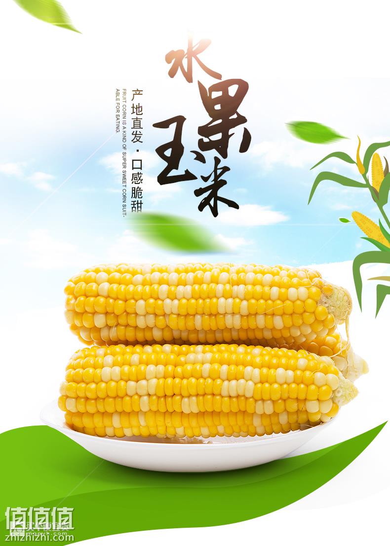O1CN011OAo2j1xi3OdCjOaG_!!3961066476.jpg