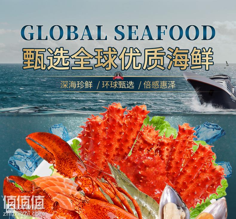 O1CN01G2GXN21UyQi59lDpx_!!3081162586.jpg