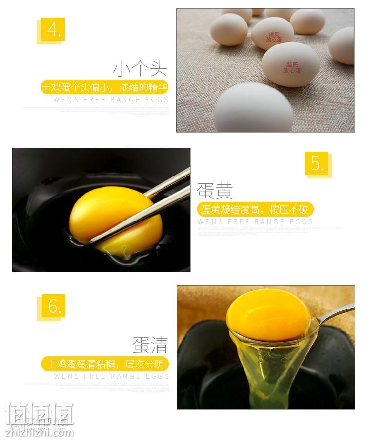 O1CN019tHlTE1V9QD4GrW1O_!!3441612610.jpg