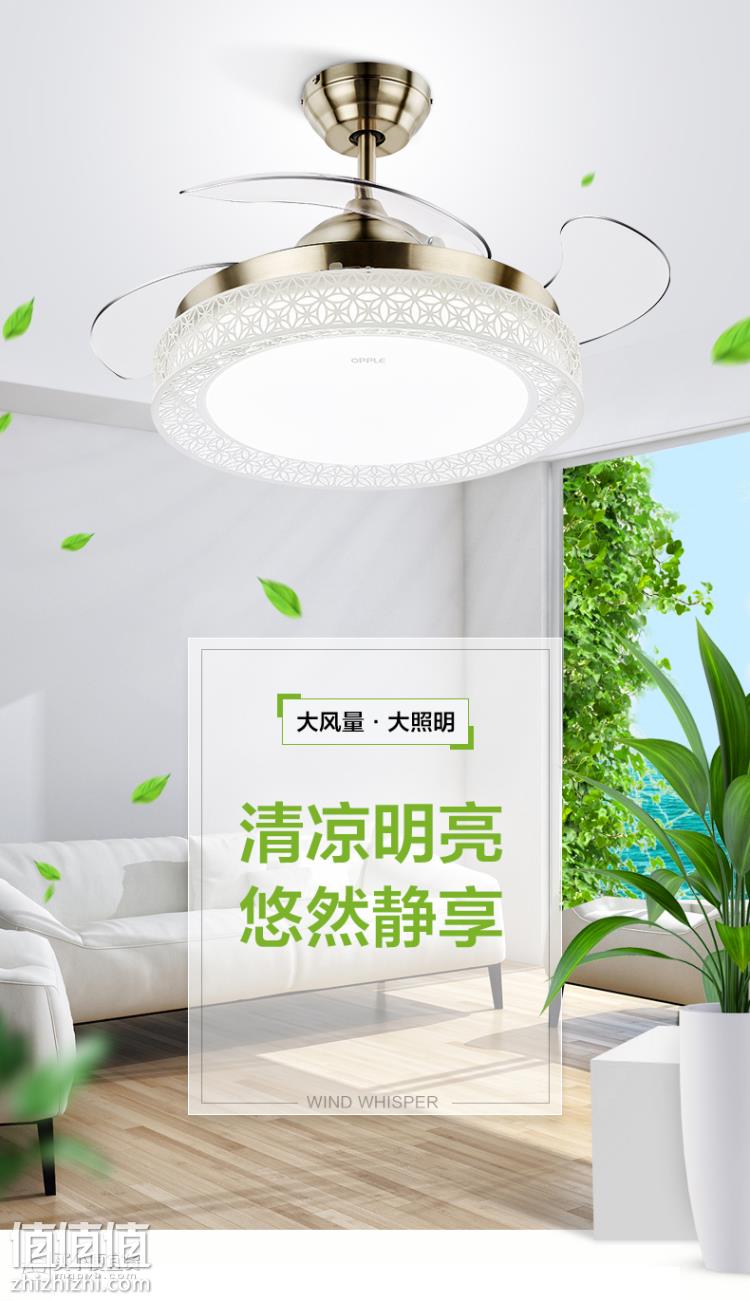 5b599545N9bda2dcc.jpg