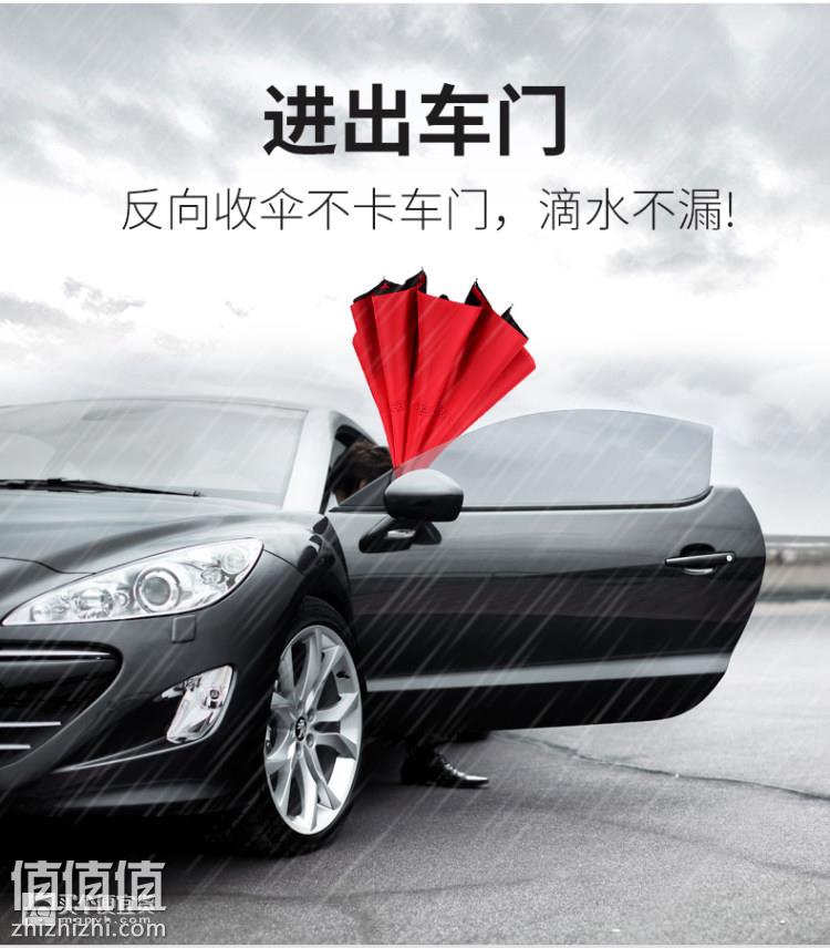 982472.jpg_w750auto.jpg