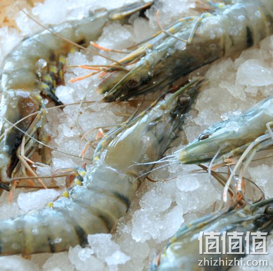30-40只，壹家壹站 原装进口马来西亚黑虎虾 800g 合理凑单低至49元/件 值值值-买手聚集的地方