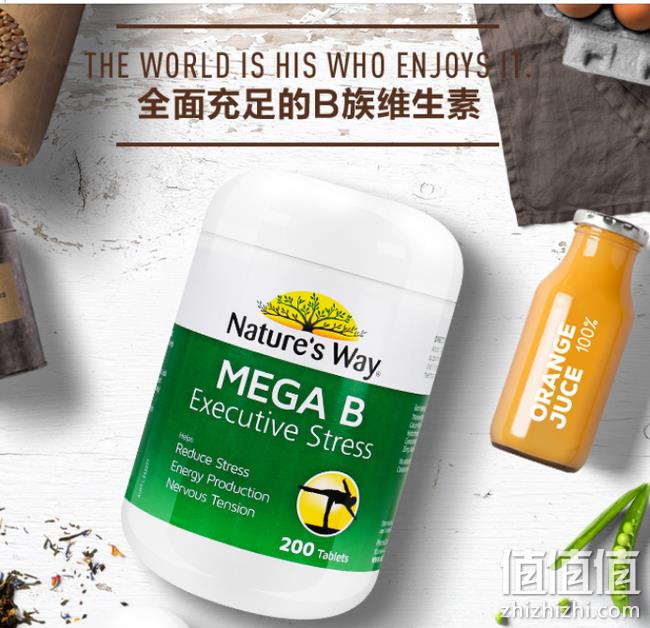 3.5倍差价，熬夜必备：Nature's way 200粒 *2件复合维生素B族 今晚0-1点抢购95元包邮（京东358元） 值值值-买手聚集的地方