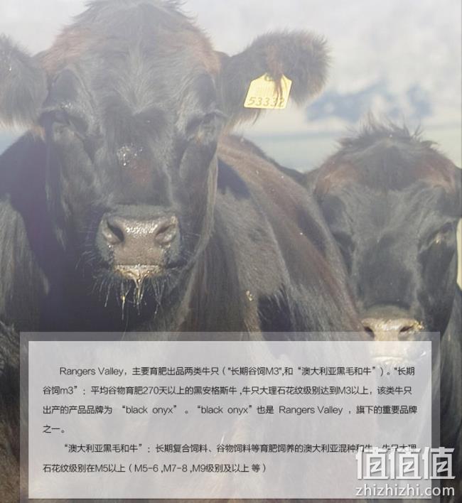 Tender Plus 天谱乐食 澳洲m3上脑牛排 200g 39.9元，可优惠至19.9元/件 值值值-买手聚集的地方