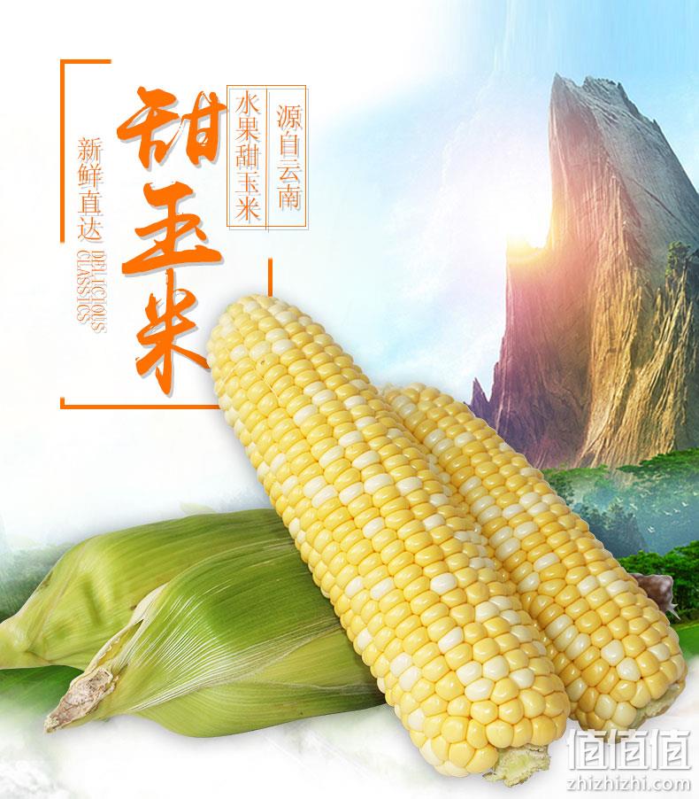 可生吃：绿礼 新鲜水果玉米 8斤 19.7元包邮 值值值-买手聚集的地方
