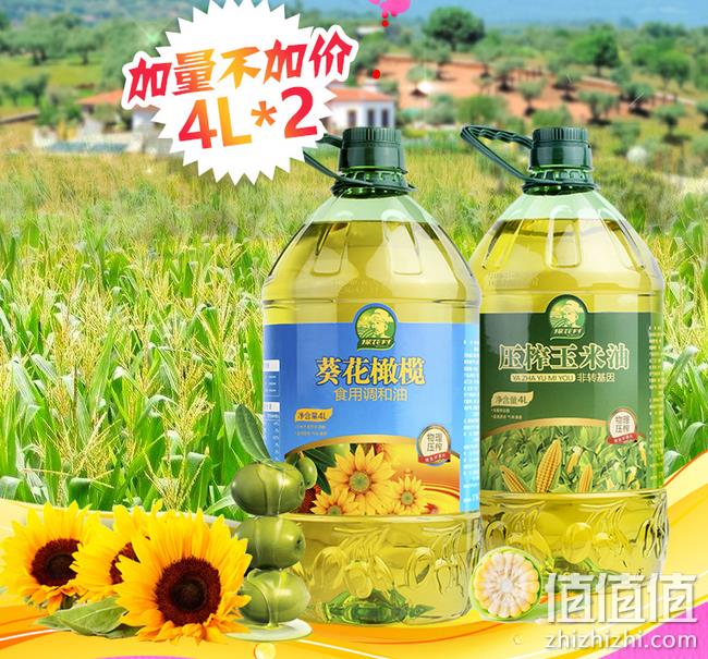 好评4.9分，大润发同款：探花村 4L*2桶 葵花橄榄调和油+玉米油 券后79.9元包邮（京东99.9元） 值值值-买手聚集的地方