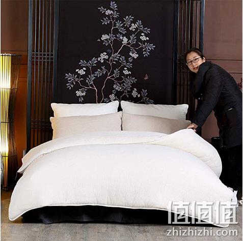 天然新疆棉花：素风家纺 网包边棉花被 200*230cm 109元包邮 值值值-买手聚集的地方