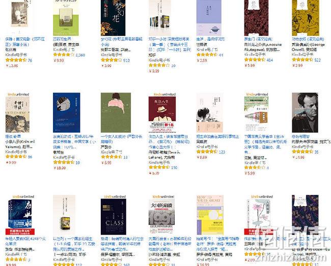 白菜价：亚马逊中国 Kindle好书超值享第二波促销 1.99元 值值值-买手聚集的地方