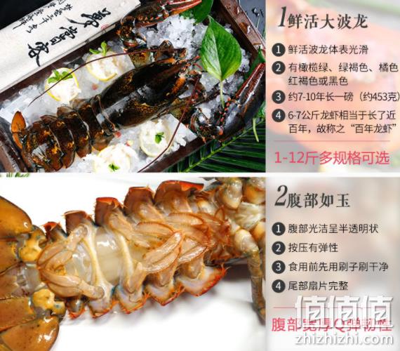 年夜饭必备、12斤、死亡赔5%： 梦尝客 波士顿龙虾 3908元包邮 送舟山小黄鱼 500g 值值值-买手聚集的地方
