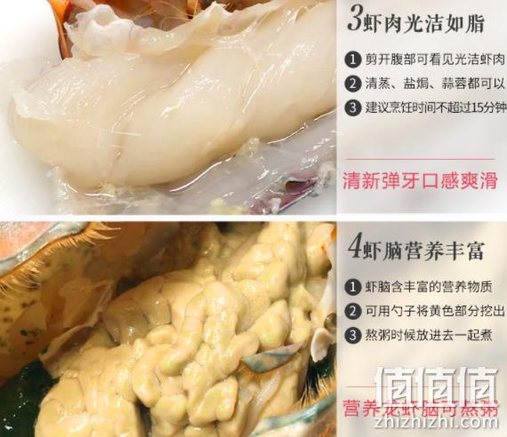 年夜饭必备、12斤、死亡赔5%： 梦尝客 波士顿龙虾 3908元包邮 送舟山小黄鱼 500g 值值值-买手聚集的地方