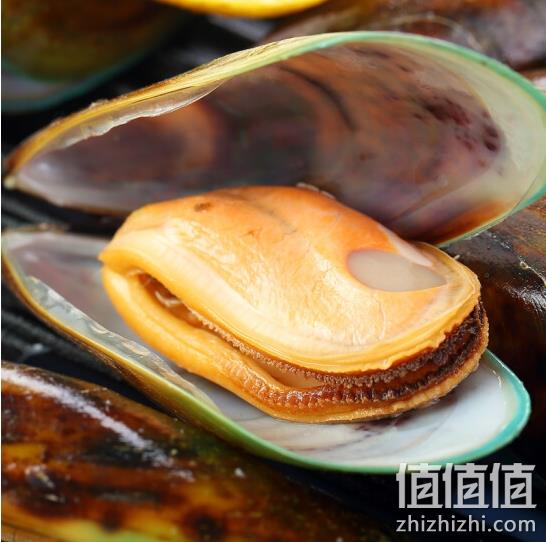 Ωmega 熟冻全壳青口贝 1.15kg *8件 237.92元包邮（29.7元/件） 值值值-买手聚集的地方