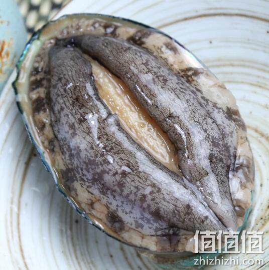 50粒！福建洁净海域捕捞 5件x500g 鸥米茄 鲍鱼 204元包邮，合40元/件（之前24粒Plus会员214元） 值值值-买手聚集的地方