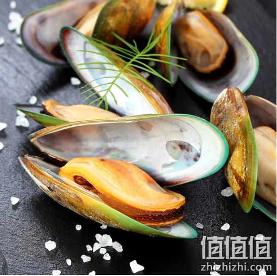 Ωmega 熟冻全壳青口贝 1.15kg *8件 237.92元包邮（29.7元/件） 值值值-买手聚集的地方