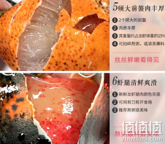 年夜饭必备、12斤、死亡赔5%： 梦尝客 波士顿龙虾 3908元包邮 送舟山小黄鱼 500g 值值值-买手聚集的地方