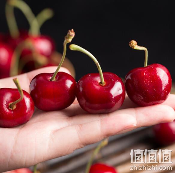 智利进口 JJ级 车厘子 5斤礼盒装 果径约28-30mm 269元、可用券满499-200元 值值值-买手聚集的地方