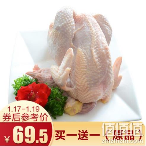 白菜价！百年栗园 密云水库老母鸡 2斤x6件 券后197元包邮，合16.5元/斤 值值值-买手聚集的地方
