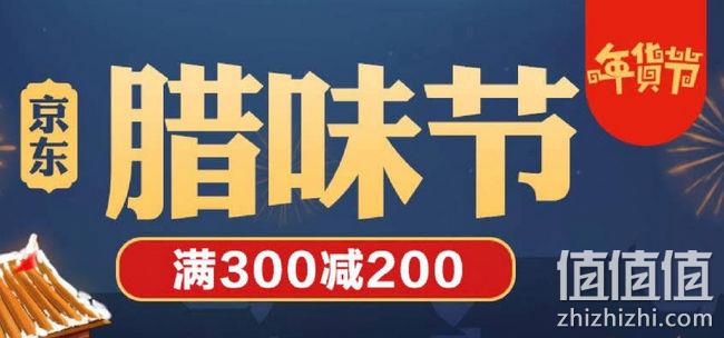 促销活动：京东坚果零食专场大促 领300-200优惠券 100g夏威夷果9.4元，170g鸭脖9.8元 值值值-买手聚集的地方