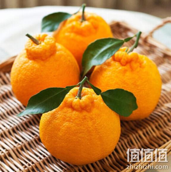 4件 蜀欣源 四川 丹棱 丑柑 不知火 5斤 Plus会员116元 值值值-买手聚集的地方
