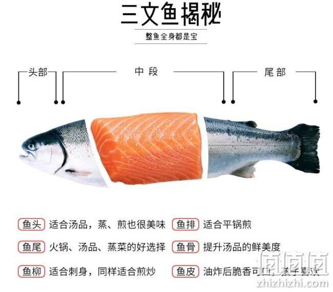 支持开箱验货，猫二郎 智利进口冰冻大西洋三文鱼整条 12-13斤  双重优惠后499.5元顺丰包邮 值值值-买手聚集的地方