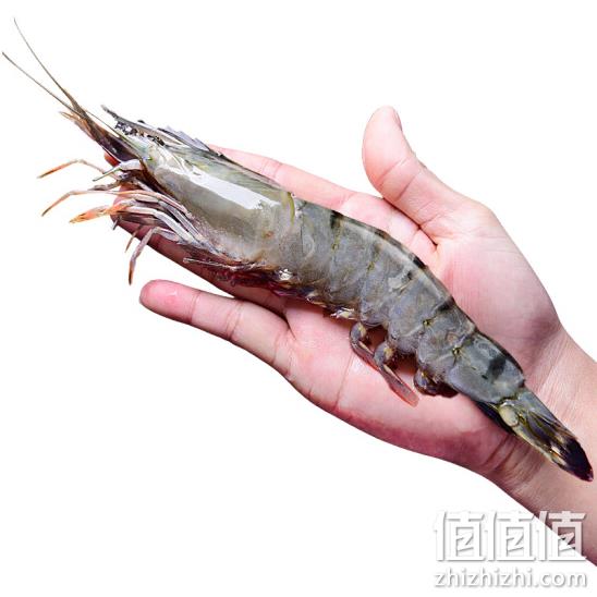 越南原装进口 国联 黑虎虾 大号 400g （10-14只）x4件 169.9元包邮 值值值-买手聚集的地方