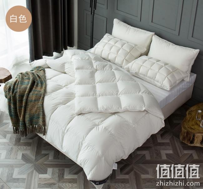 4.9分 补券：Royal 皇朝家私 五星级酒店白鹅绒被 1.5米四季通用 双重优惠后169元包邮 值值值-买手聚集的地方