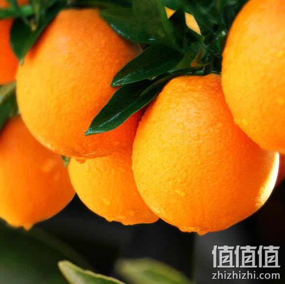 2件*5kg 农夫山泉 17.5°橙 铂金果 凑单到手价155元 值值值-买手聚集的地方