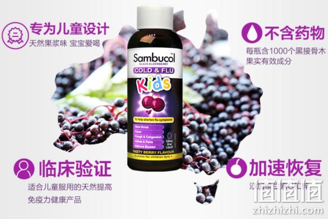 加快感冒恢复，澳洲 Sambucol 黑接骨 儿童止咳糖浆 120mlx2瓶 券后158元（专柜498元） 值值值-买手聚集的地方
