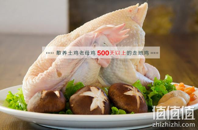 散养500天！2只x2斤， 百年栗园  老母鸡 券后79元包邮 值值值-买手聚集的地方