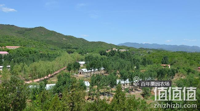散养500天！2只x2斤， 百年栗园  老母鸡 券后79元包邮 值值值-买手聚集的地方