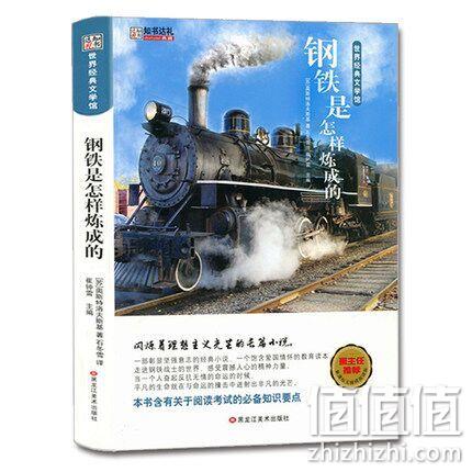 白菜价：《钢铁是怎样炼成的》 券后5.1元包邮 值值值-买手聚集的地方