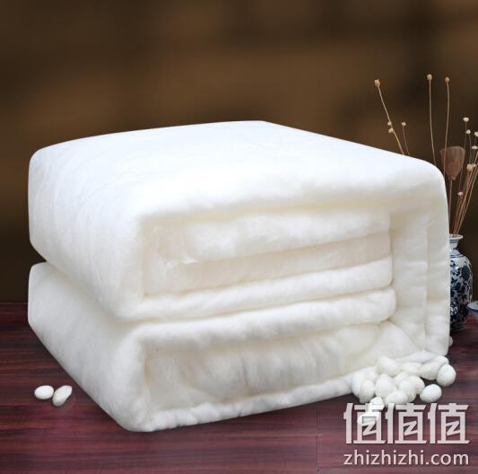 100%桑蚕丝，钱皇 阳春白雪 5斤 春秋被 1199元 值值值-买手聚集的地方