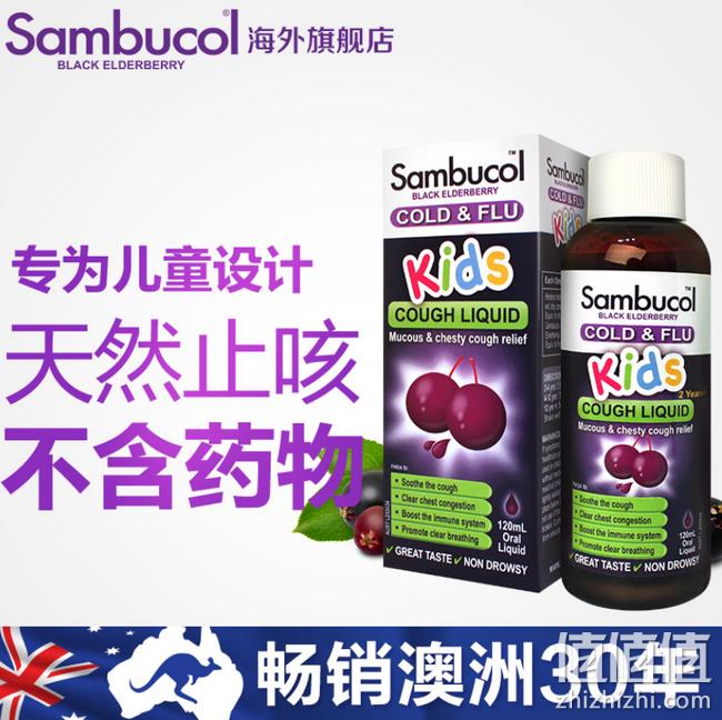 缓解咽喉不适：澳洲 Sambucol 黑接骨木 120ml 儿童止咳口服液 券后79元包邮（长期139元） 值值值-买手聚集的地方