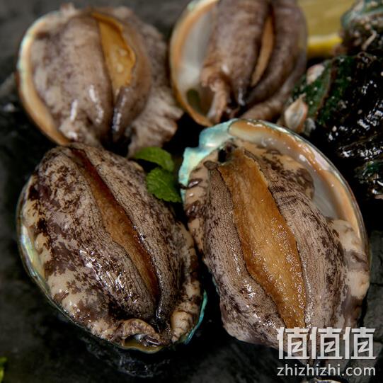 活的！WECOOK味库 鲜活鲍鱼 500gx3件 197元包邮 值值值-买手聚集的地方