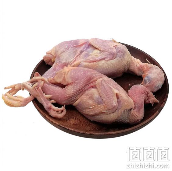 120g/只 ：芮瑞 鹌鹑肉  12只 88元包邮顺丰冷链 值值值-买手聚集的地方