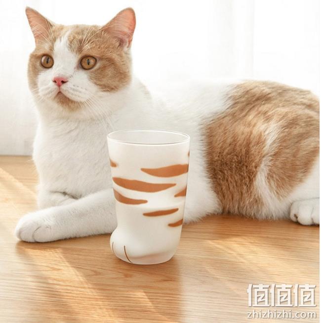 吸猫党福利！网易严选 猫爪凉水杯 300ml 79元包邮 值值值-买手聚集的地方