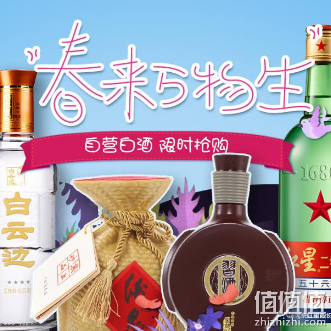 京东 自营白酒专场 满199-100元 值值值-买手聚集的地方