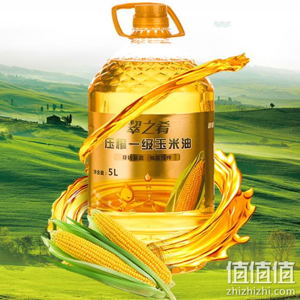 省龙头企业，翠之肴 物理压榨 非转基因 玉米油5L 券后54.9元包邮（超市128元） 值值值-买手聚集的地方
