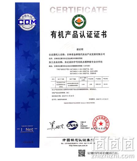 约2.5kg，东北黄糯玉米棒 有机黏玉米 10根装 36.9元 值值值-买手聚集的地方