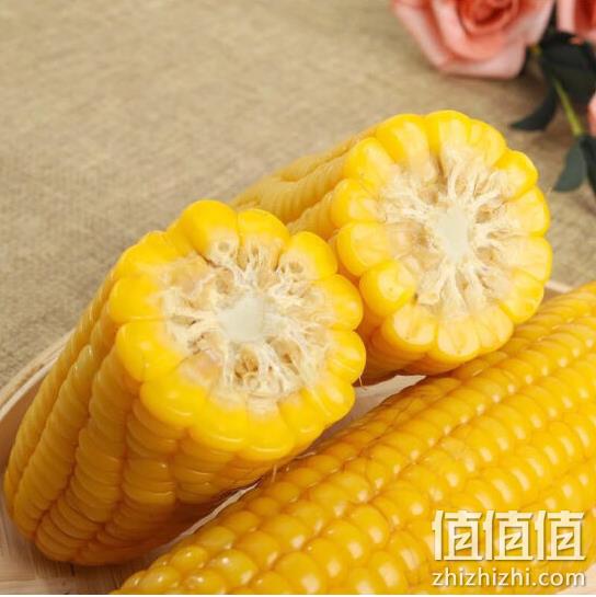 约2.5kg，东北黄糯玉米棒 有机黏玉米 10根装 36.9元 值值值-买手聚集的地方