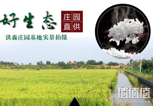 省龙头企业，洪森 湖北荆门 虾香稻米5斤 券后19.8元包邮 值值值-买手聚集的地方