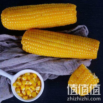 健康粗粮，谷绿农品 东北 甜糯玉米 200gx10支装 券后24.9元包邮 值值值-买手聚集的地方