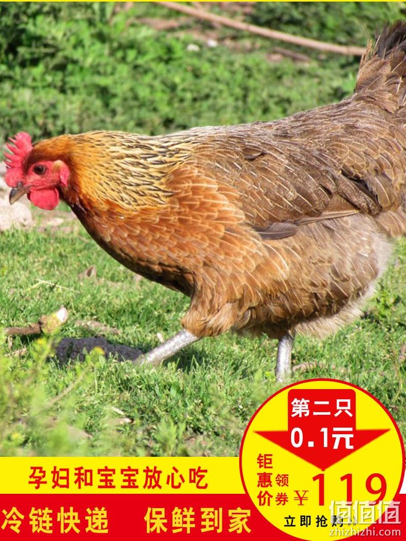 正宗皖北土鸡：youe shone 优旋 老母鸡1000g x2只 券后79.1元包邮 值值值-买手聚集的地方
