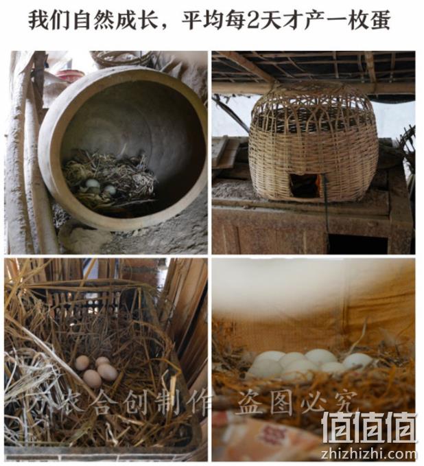 4.9分，汇吃喵 散养绿壳土鸡蛋 30枚  33.8元包邮  值值值-买手聚集的地方