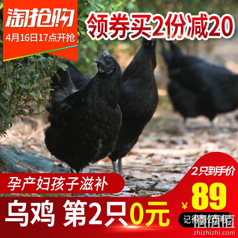 大别山特色馆 散养乌骨母鸡 1000gx2件 券后89元包邮 值值值-买手聚集的地方