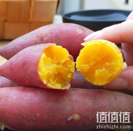 深子湖 板栗红薯番薯 5斤 19.9元包邮 值值值-买手聚集的地方
