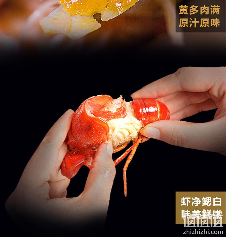 36-50只、活虾烧制：洪湖清水 油焖熟冻即食麻辣小龙虾 64元顺丰包邮 值值值-买手聚集的地方