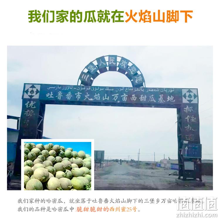 全中国最好吃的哈密瓜：新疆火焰山 西州蜜25号 2个 约7斤 58元包邮 值值值-买手聚集的地方