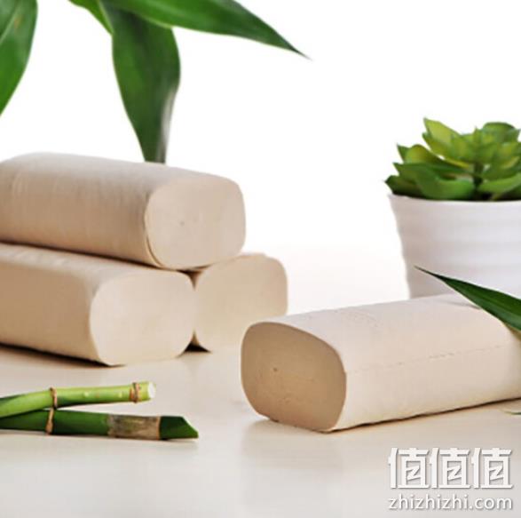婷风 竹纤维 本色无芯卷纸 4层65gx12卷 券后9.9元 值值值-买手聚集的地方