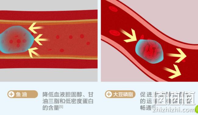降血脂，汤臣倍健 大豆磷脂软胶囊100粒+鱼油胶囊100粒 券后74元包邮 值值值-买手聚集的地方