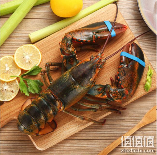 鲜活，味库 加拿大龙虾（波士顿龙虾）550-650g 1只 盒装 券后120元，可3件9折 值值值-买手聚集的地方